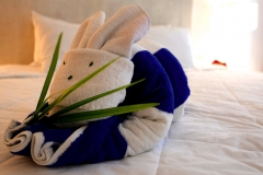 anah suites bunny