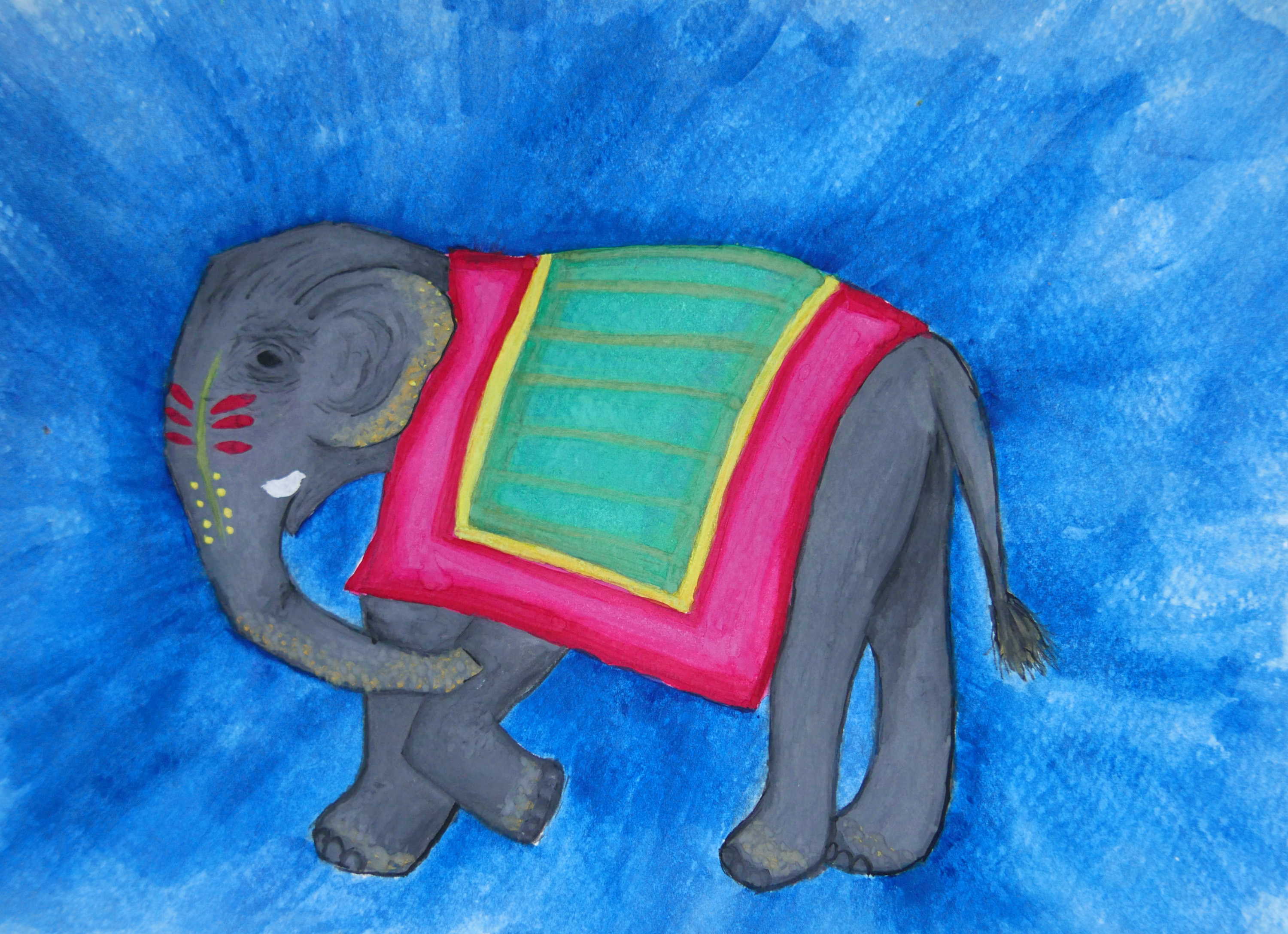 india jaipur elephant