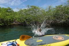 cenotes extreme control