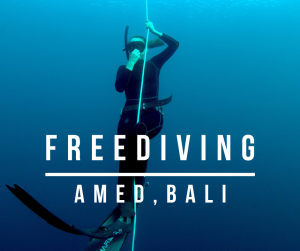 freediving bali travel films