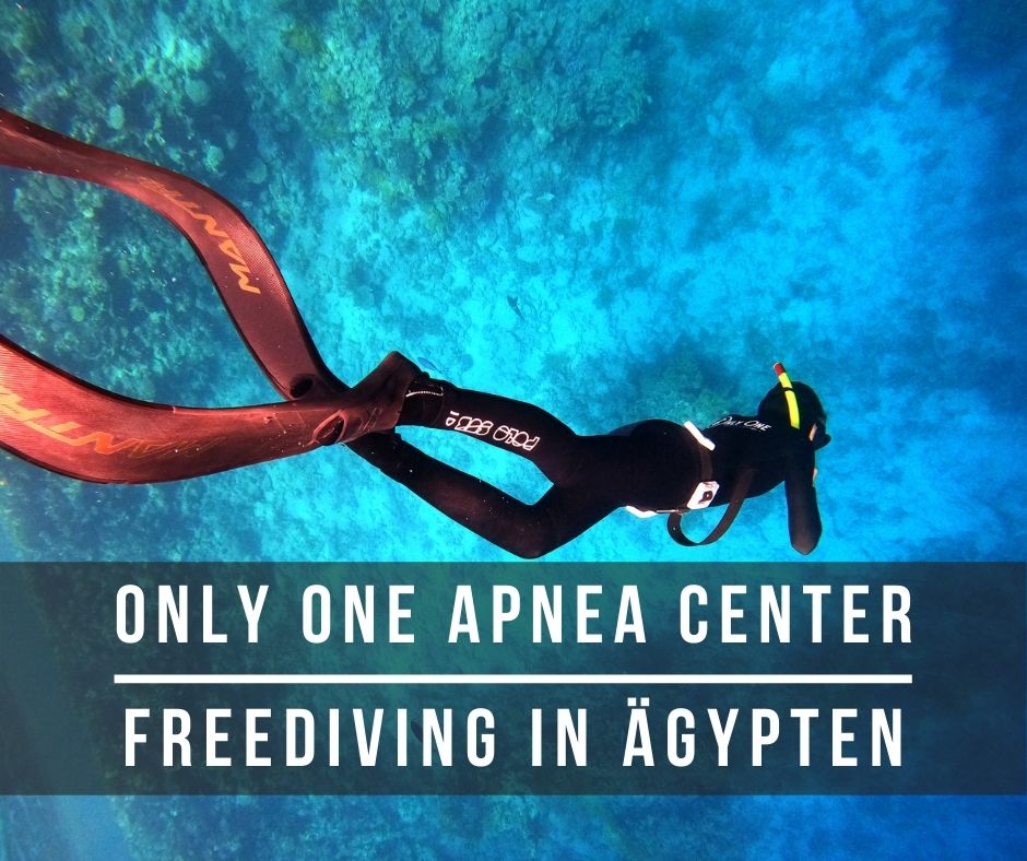 Freediving lernen rotes meer
