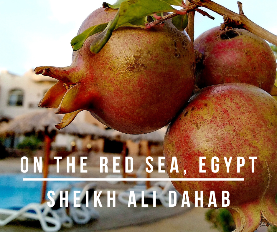 sheikh ali dahab resort red sea egypt
