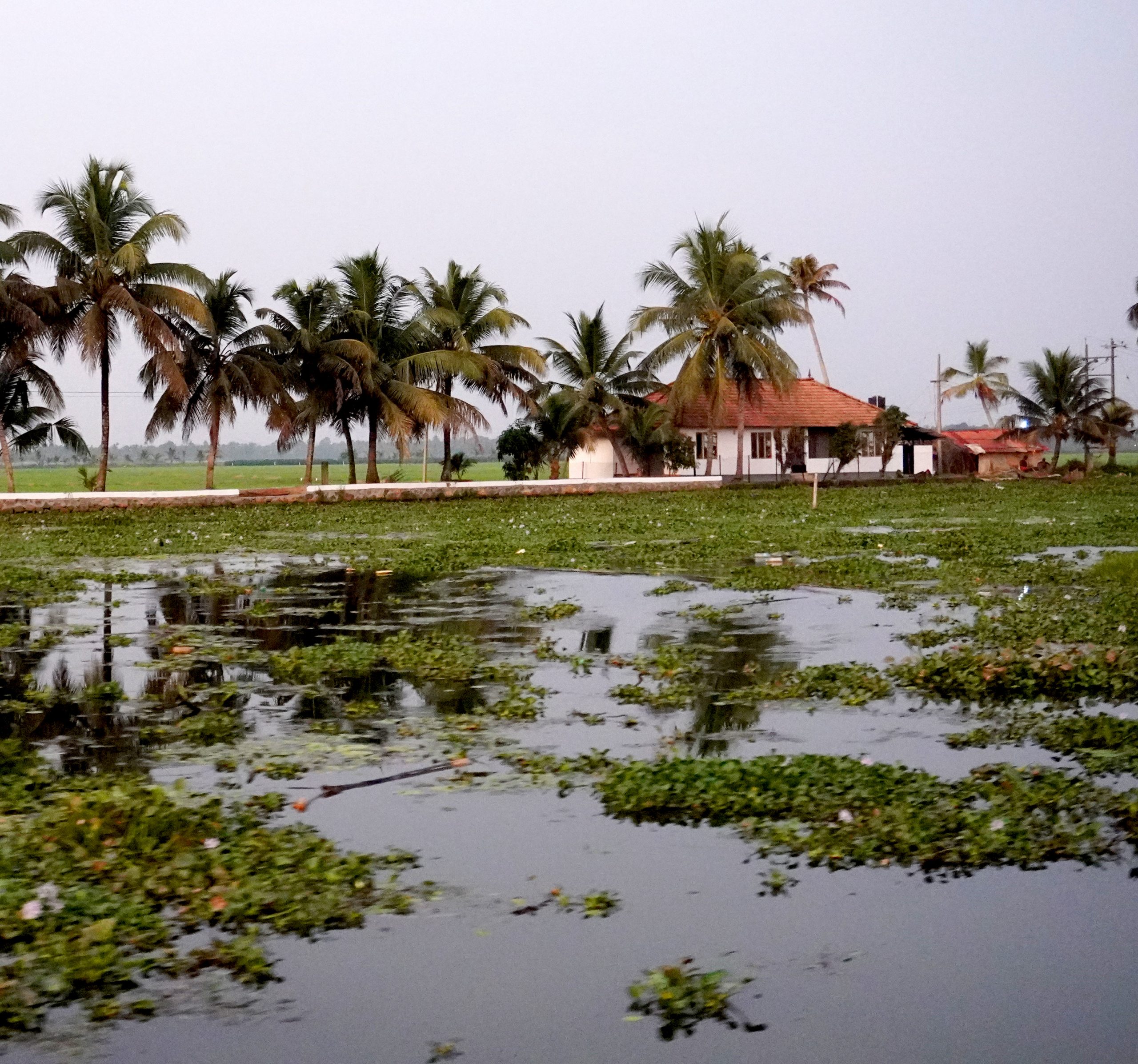 backwaters Kerala bogdanova becker