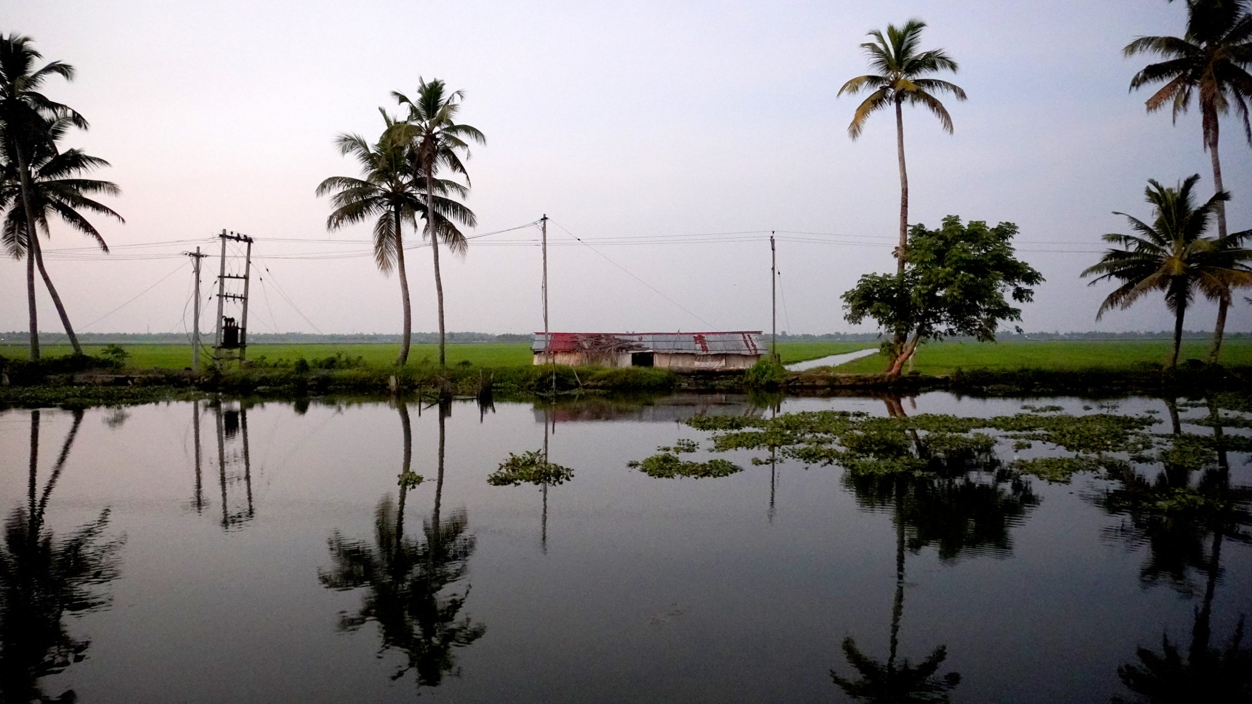 kerala backwaters 3